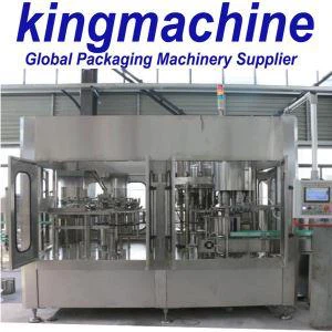 Automatic Rotary Glass Bottle Water Filling Plant for Sale
